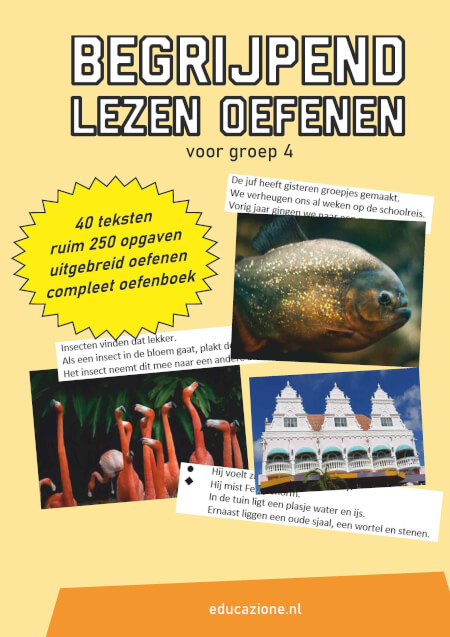 Begrijpend lezen groep 4 oefenen