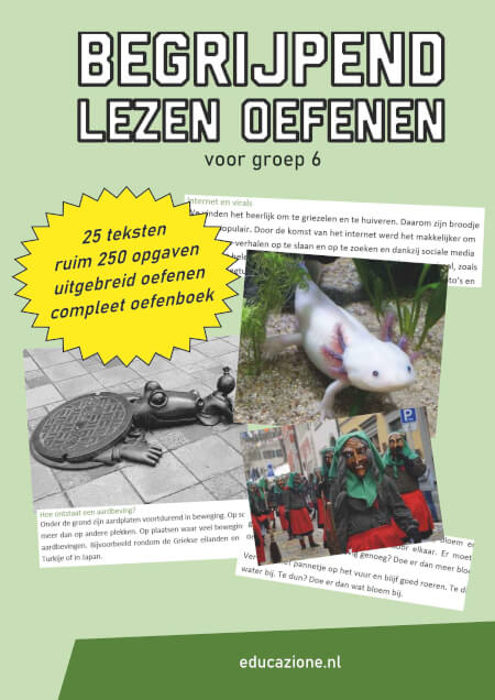 Begrijpend lezen groep 6 oefenen