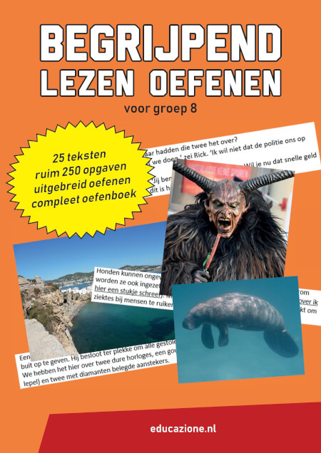 Begrijpend lezen groep 8 oefenen